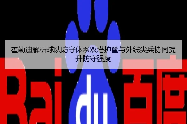 霍勒迪解析球队防守体系双塔护筐与外线尖兵协同提升防守强度 - XingkongSports